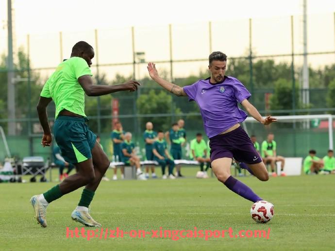 杏彩体育-世俱杯场边广告数据对比与品牌曝光效果量化报告